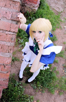 Saber Maid Night by palecardinal