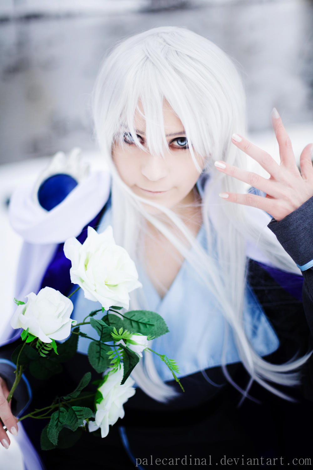 Winter Lord Kunzite by palecardinal