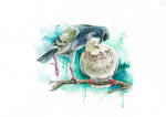 Pigeons by Egretink