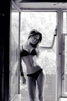 -IV by Levine-photography