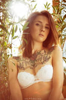 Colourful bird by Levine-photography