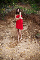 5240 by Levine-photography