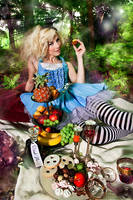 Alice in Wonderland Nr.2 by hecht