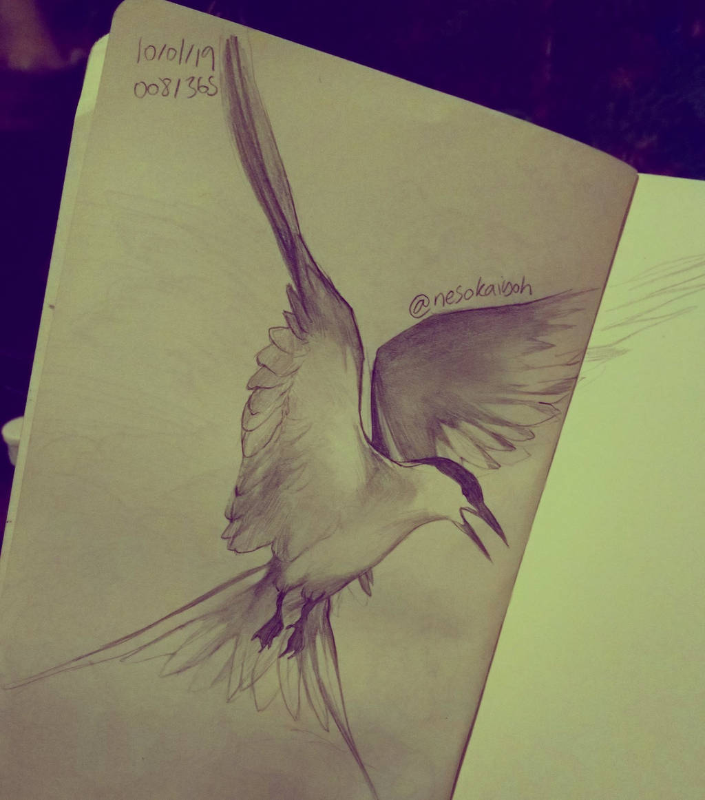 animallike, furry things favourites by Aaronchu29 on DeviantArt