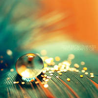 glittery . . ... by light-from-Emirates