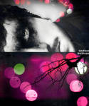 Distorted Nightmare by light-from-Emirates