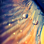 010 by light-from-Emirates