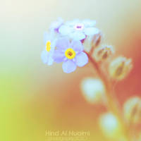 new start. .. by light-from-Emirates