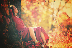 In autumn forest by sirbion