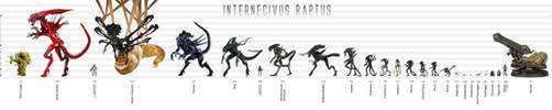 Xenomorph Size Chart by Risen-From-The-Ruins