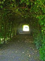 Light at the End of the Tunnel by emeraldeyesx3