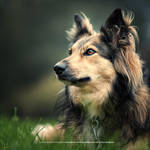 Aline 1.8 by DREAMCA7CHER