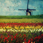 Netherlands by disposable-heroX