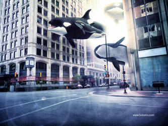 City of Whales by hotamr