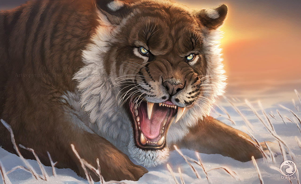 Fearful Beauty by balaa