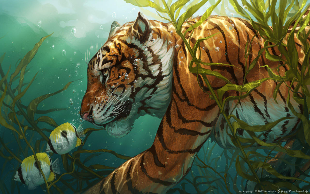 Dive by balaa