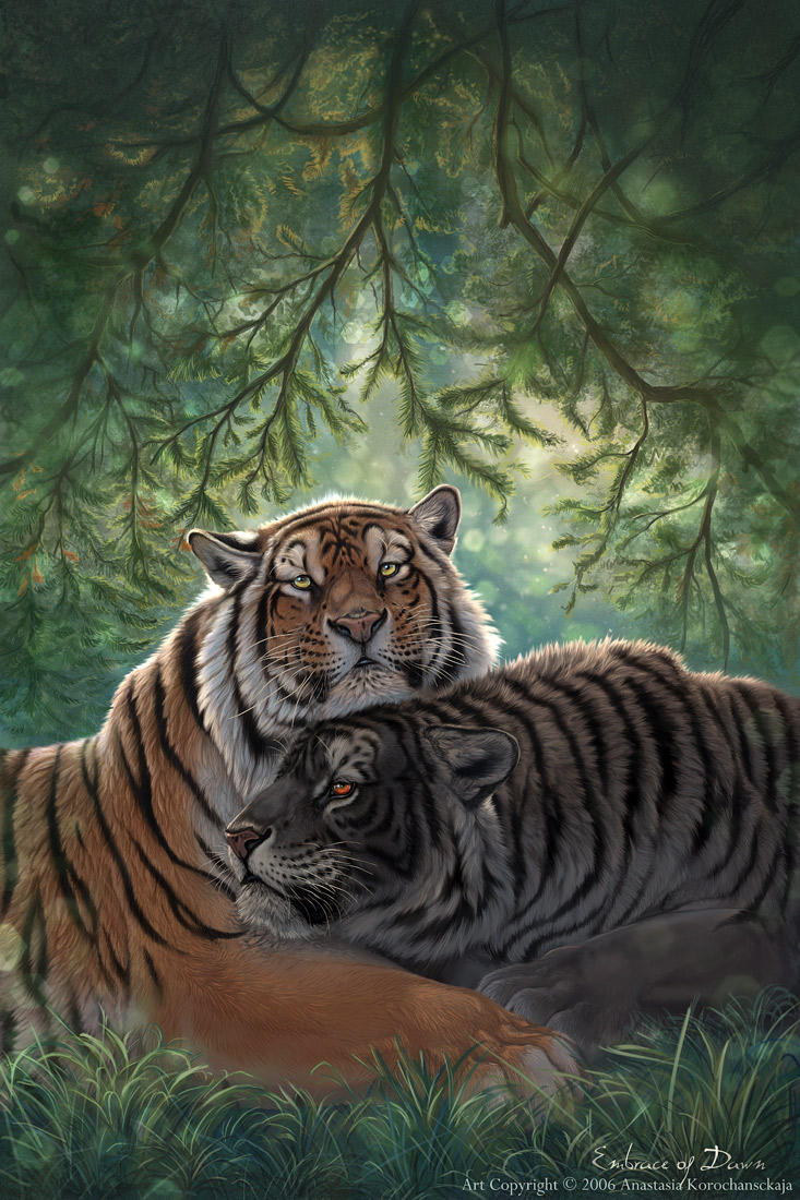In the Embrace of Dawn by balaa