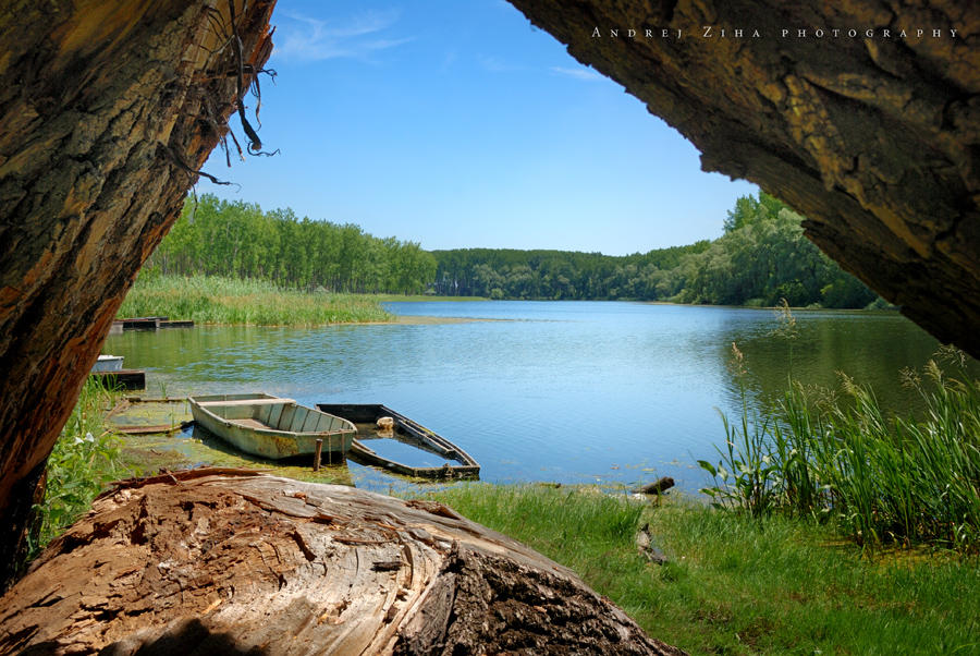 View by Andrejz