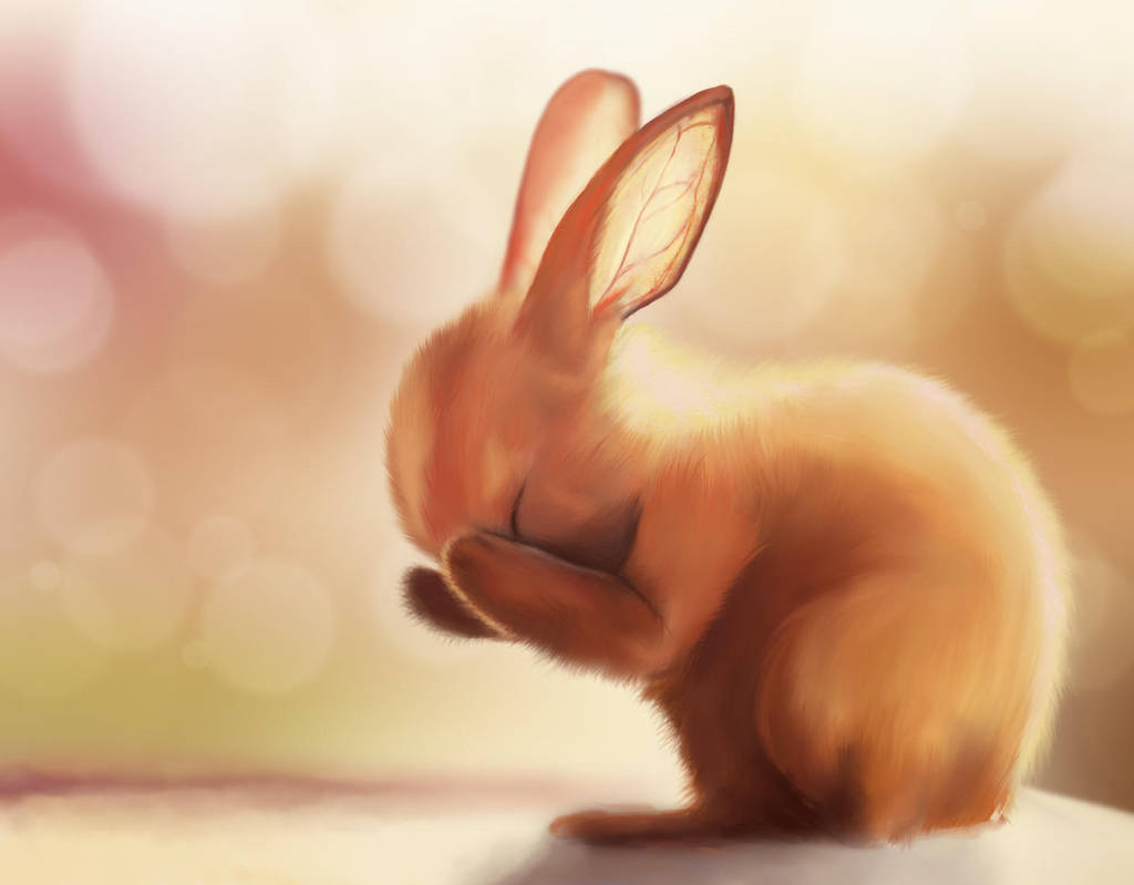 Bunny by xLilu