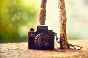 tiny camera by Dina90T