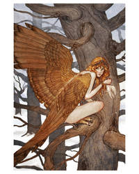Harpy - print by bluefooted