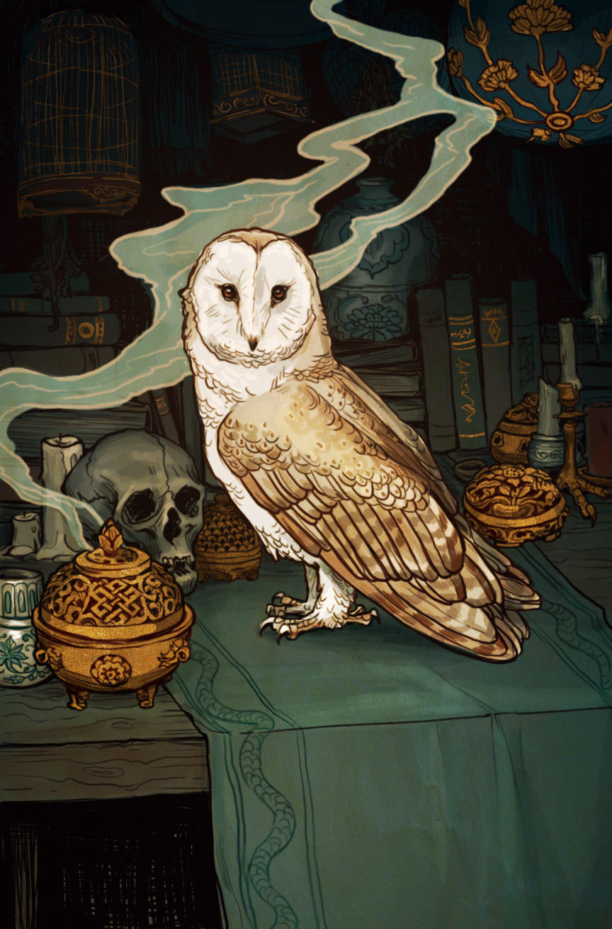 The Sorcerer's Assistant by bluefooted