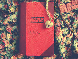 Grandma's Diary by EneKiedis