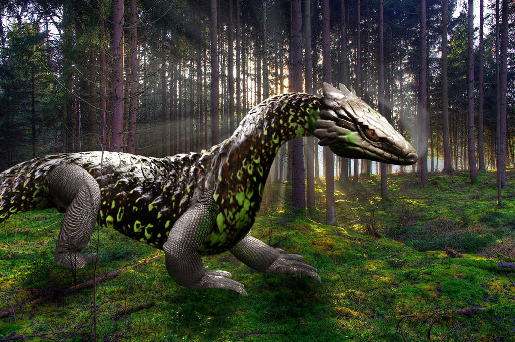 Wood Dragon by tsilver