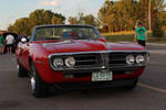 Topless 'Bird by KyleAndTheClassics