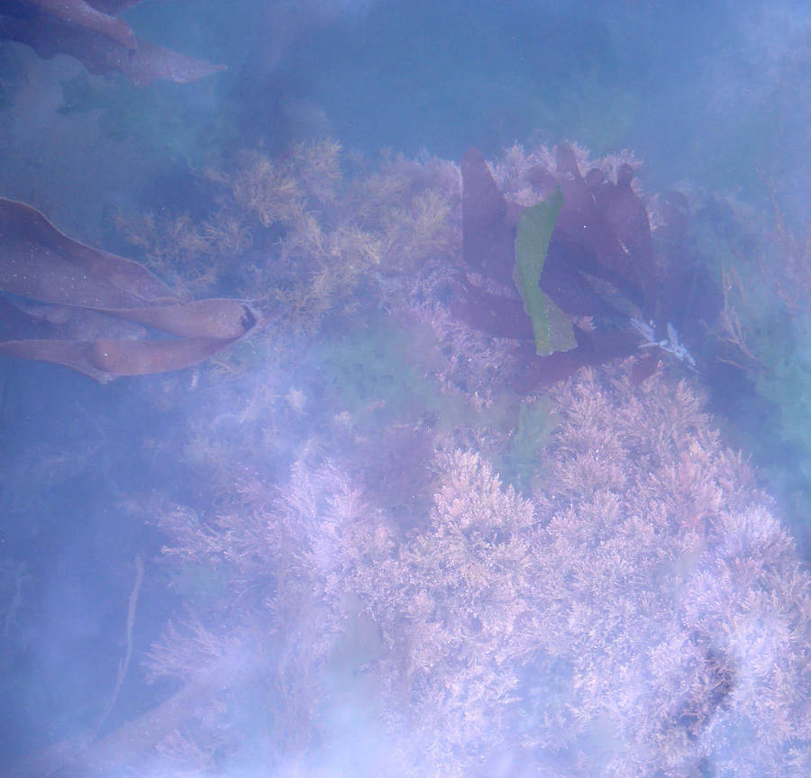 Underwater - STOCK by she-sinsstock