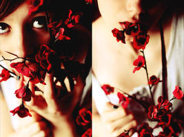 Red by RomanceOnTheTarmac