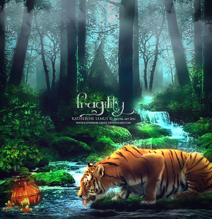 Fragility by katherine-lemus