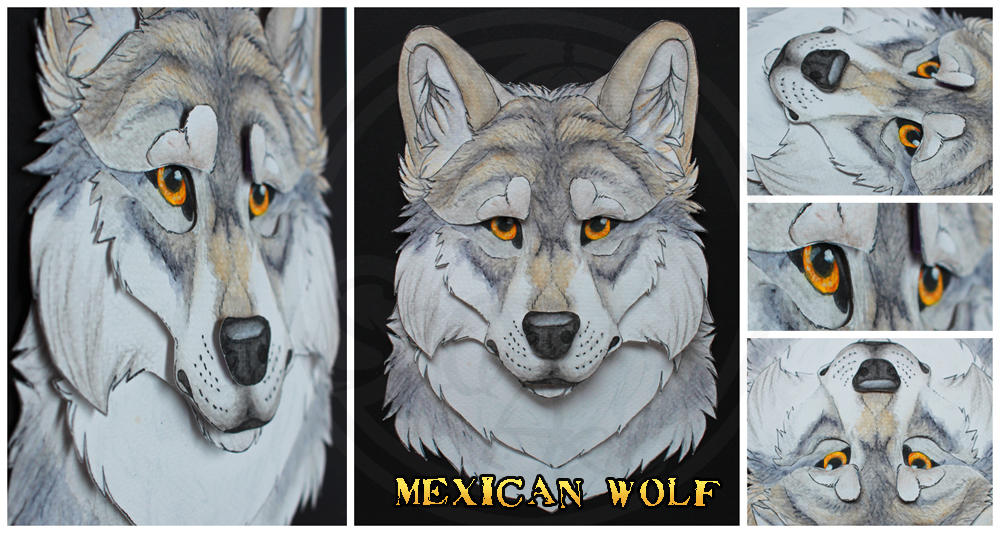 Commissions: 3D - Portrait - Mexican wolf by SaQe