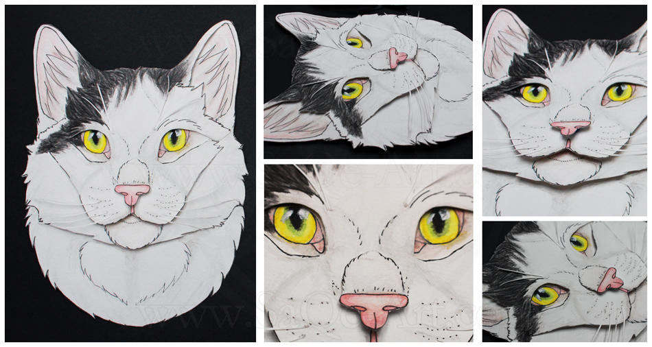 Commissions: 3D - Portrait - B/W Domestic Cat by SaQe