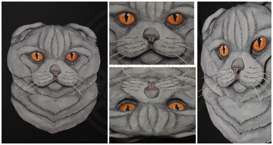 Commissions: 3D - Portrait - Scottish Fold by SaQe