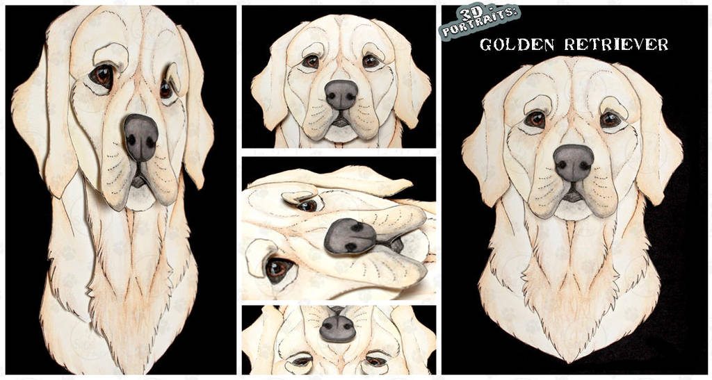 3D - Portraits: Golden Retriever by SaQe