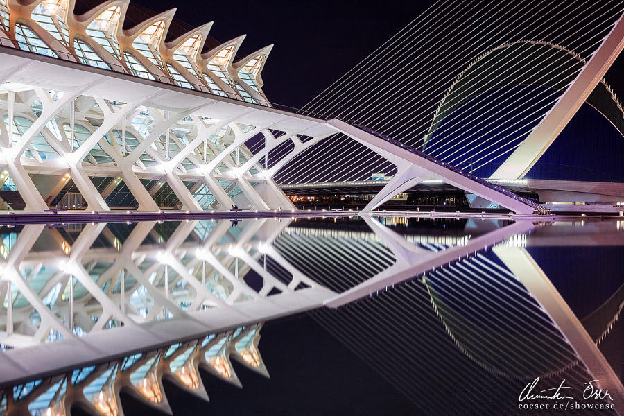 City of Arts and Science 4 by Nightline