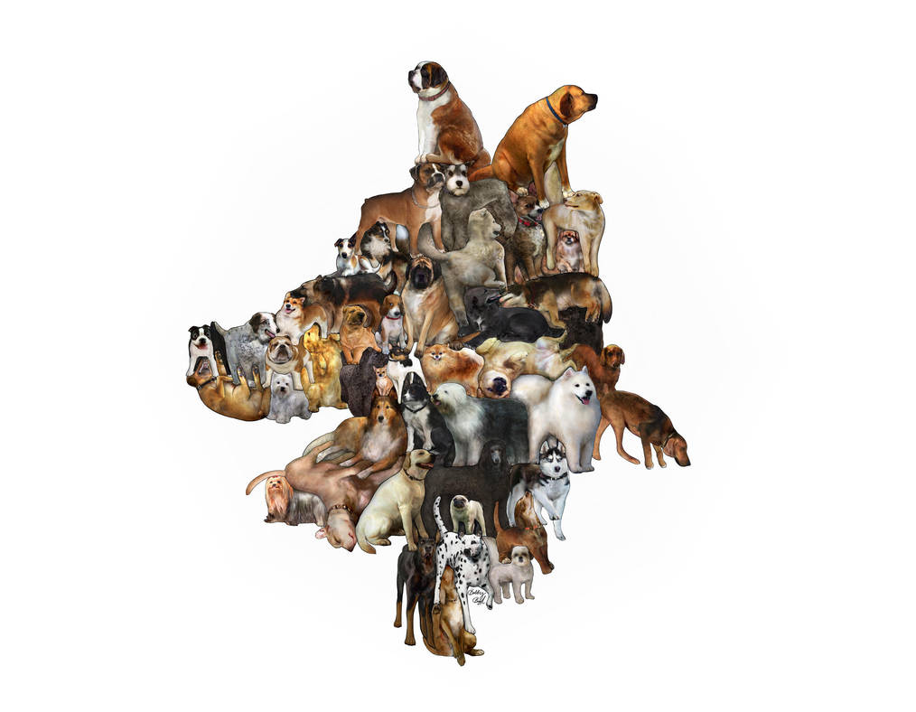 Interlocking Canines by BobbyBobby85