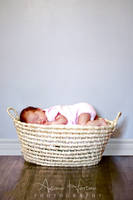 madison by autumnhorton