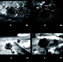 contact snippet by ShannyIsCrunk