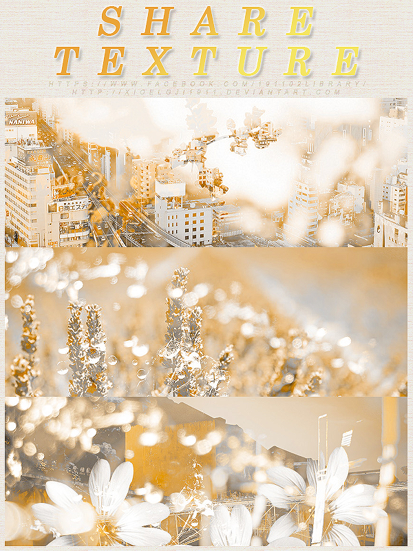 \\\SHARE.TEXTURE/// by Xioelgji1911