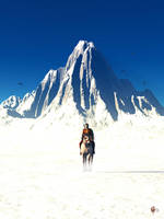 The Journey I by gerberc