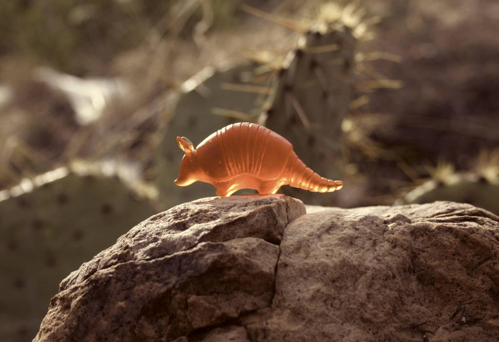 Wild West Armadillo! by MiniMynagerie