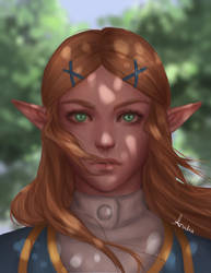 Zelda - Breath of the Wild by Anadia-Chan