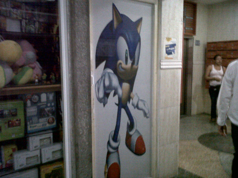 Sonic Door by DISMOTRON