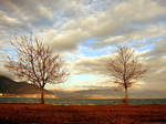 always together by tolgagonulluleroglu
