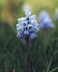 Untitled by yavuzselimturan