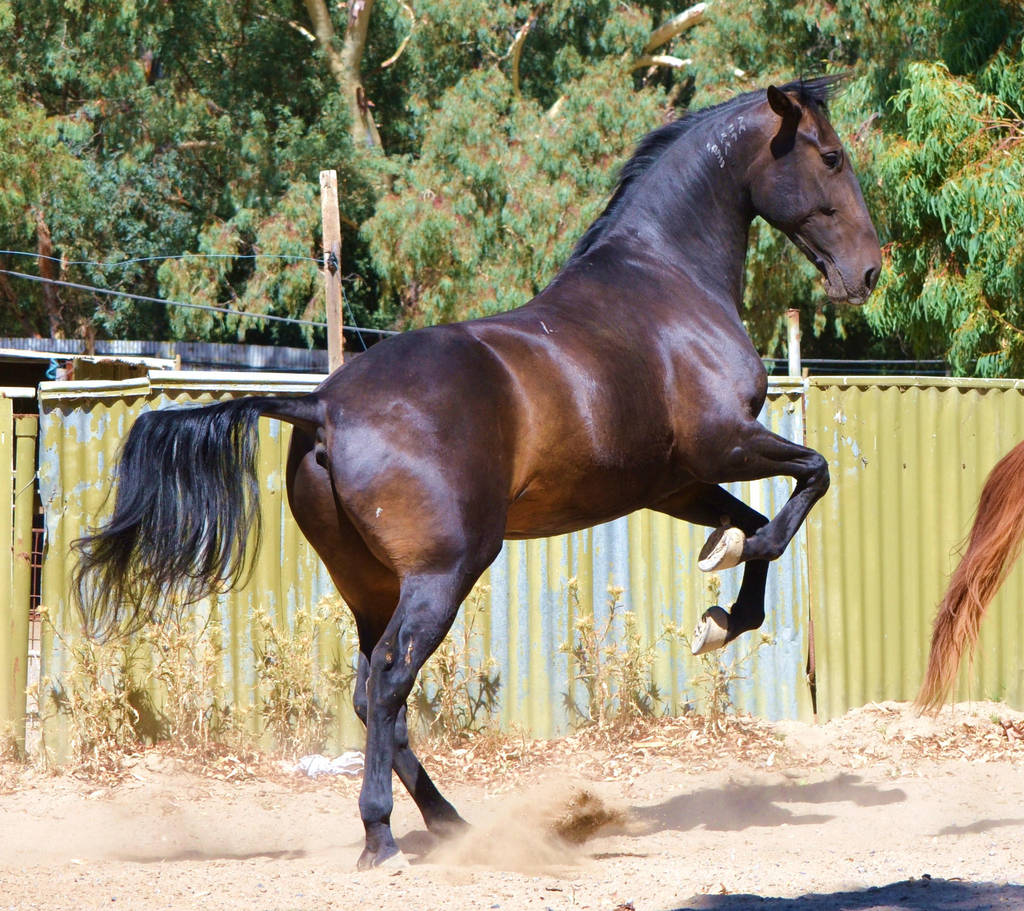 Benstock (76) by BlueBird-Stock