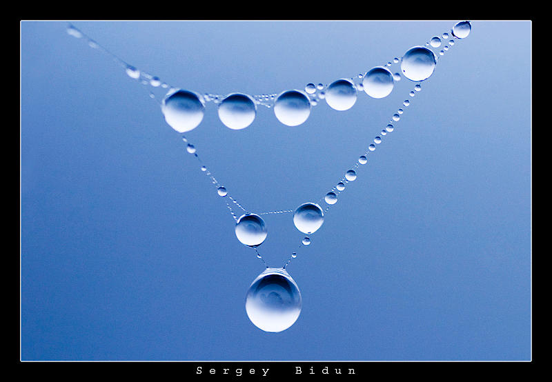Dew Neckles... by sergey1984
