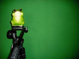 frooog by SunSetButRain